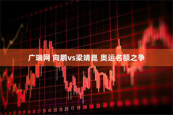 广瑞网 向鹏vs梁靖崑 奥运名额之争